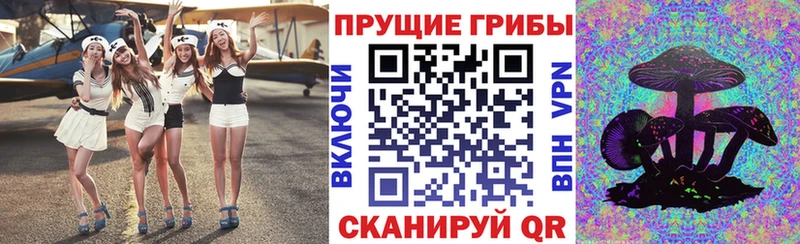 Псилоцибиновые грибы Psilocybine cubensis  Усть-Катав 